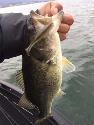 hideup 永野総一朗 ブログ写真 2017/04/12