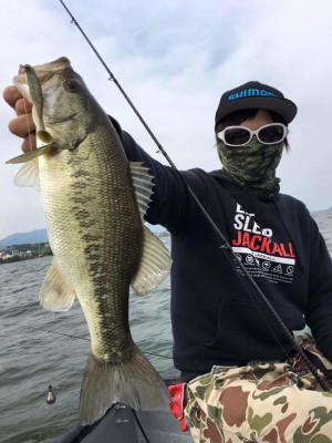 hideup 豌ｸ驥守ｷ丈ｸ譛� 繝悶Ο繧ｰ蜀咏悄 2016/05/01