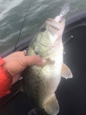 hideup 永野総一朗 ブログ写真 2017/06/07