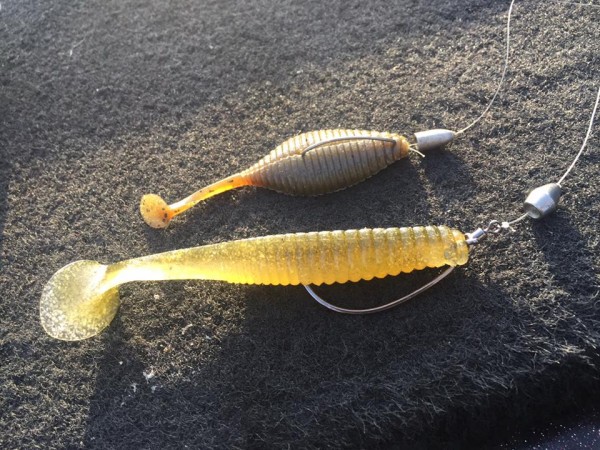 hideup 永野総一朗 ブログ写真 2017/05/03