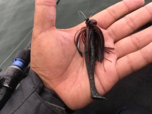 hideup 永野総一朗 ブログ写真 2017/10/02