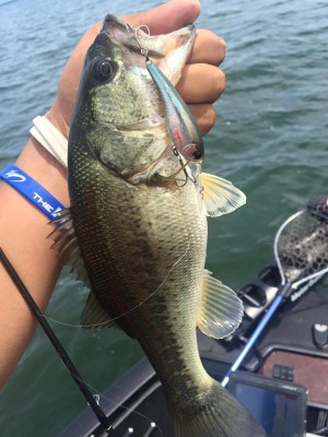 hideup 永野総一朗 ブログ写真 2016/06/01