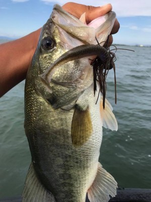 hideup 永野総一朗 ブログ写真 2017/09/14