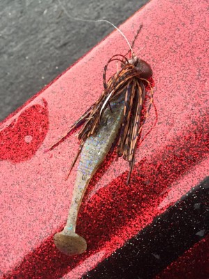 hideup 永野総一朗 ブログ写真 2015/12/23