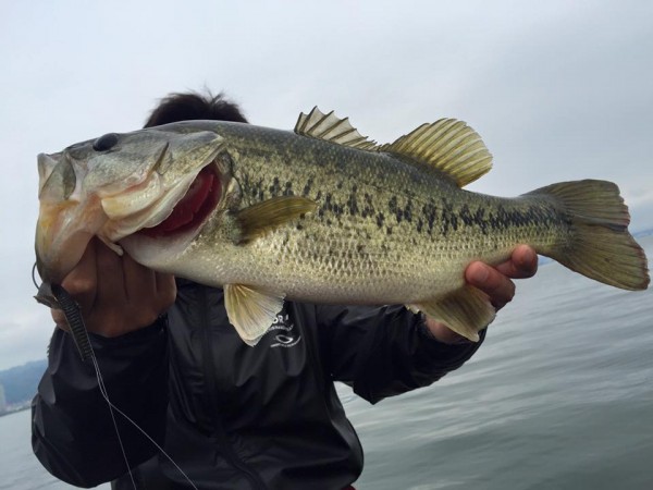 hideup 永野総一朗 ブログ写真 2016/05/09