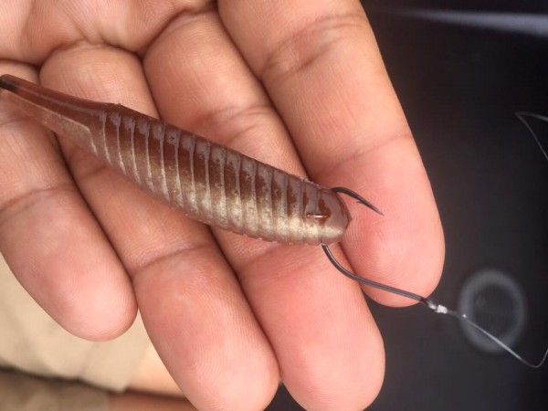 hideup 永野総一朗 ブログ写真 2016/06/15