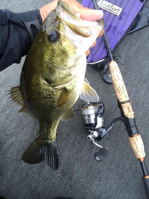 hideup 永野総一朗 ブログ写真 2015/09/25