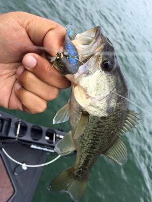 hideup 永野総一朗 ブログ写真 2016/04/02