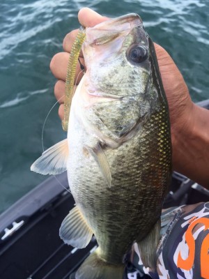 hideup 永野総一朗 ブログ写真 2016/09/12