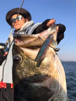 hideup 永野総一朗 ブログ写真 2017/04/02