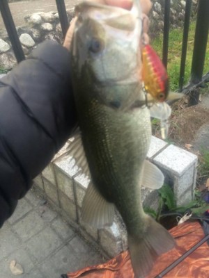 hideup 永野総一朗 ブログ写真 2016/04/12