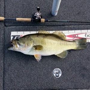 hideup 永野総一朗 ブログ写真 2015/12/14