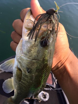 hideup 永野総一朗 ブログ写真 2016/08/05