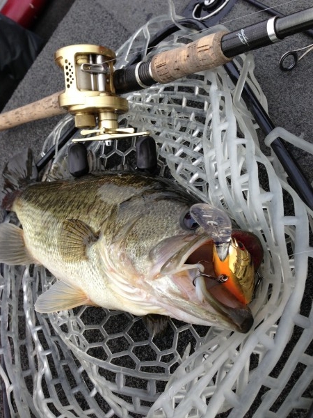 hideup 永野総一朗 ブログ写真 2013/09/23