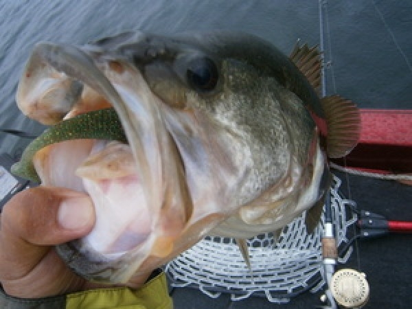 hideup 永野総一朗 ブログ写真 2014/10/05