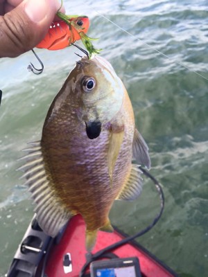 hideup 永野総一朗 ブログ写真 2015/11/28