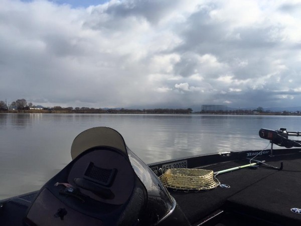 hideup 豌ｸ驥守ｷ丈ｸ譛� 繝悶Ο繧ｰ蜀咏悄 2016/01/22