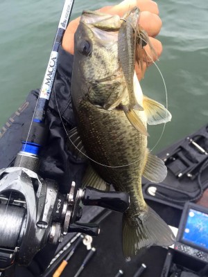 hideup 永野総一朗 ブログ写真 2016/05/09