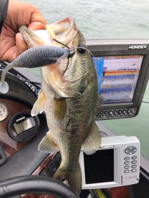 hideup 永野総一朗 ブログ写真 2017/06/25