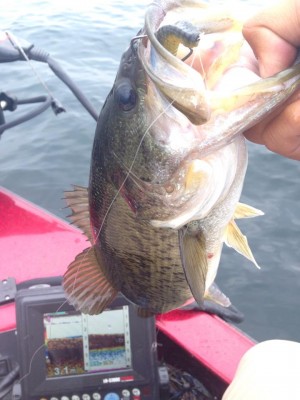 hideup 永野総一朗 ブログ写真 2015/05/29