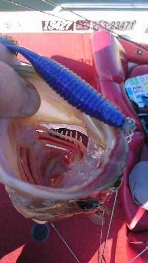 hideup 豌ｸ驥守ｷ丈ｸ譛� 繝悶Ο繧ｰ蜀咏悄 2017/12/12