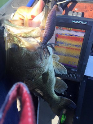 hideup 永野総一朗 ブログ写真 2016/06/03