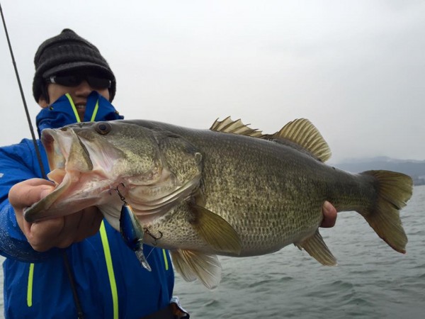 hideup 永野総一朗 ブログ写真 2016/03/10