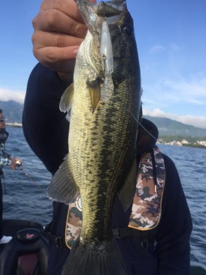 hideup 永野総一朗 ブログ写真 2016/11/01