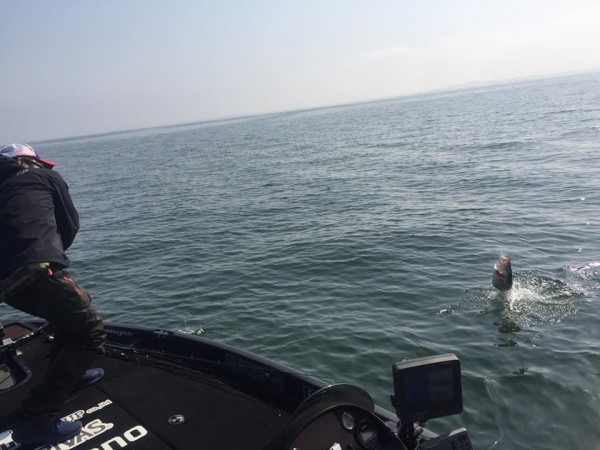 hideup 永野総一朗 ブログ写真 2017/04/30