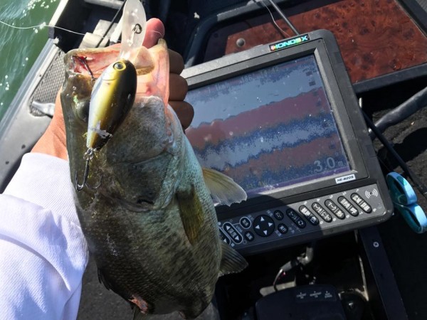 hideup 永野総一朗 ブログ写真 2017/09/08