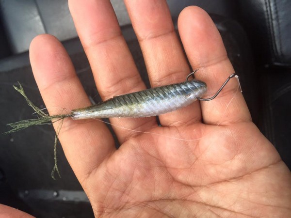 hideup 永野総一朗 ブログ写真 2016/07/03