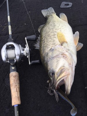 hideup 永野総一朗 ブログ写真 2016/12/01