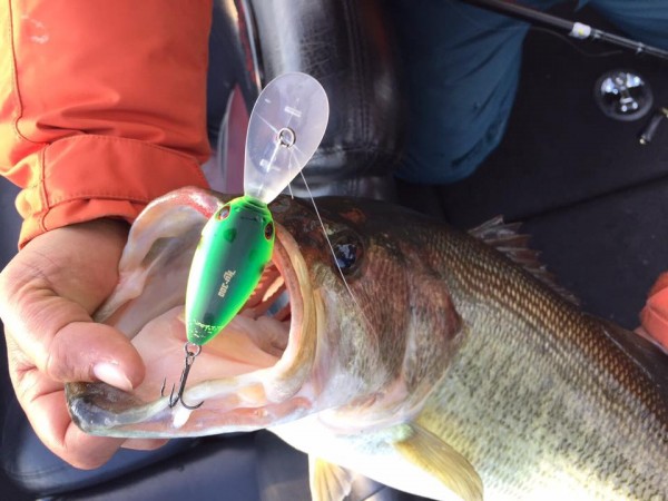 hideup 永野総一朗 ブログ写真 2017/03/11