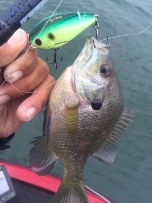 hideup 永野総一朗 ブログ写真 2015/11/02