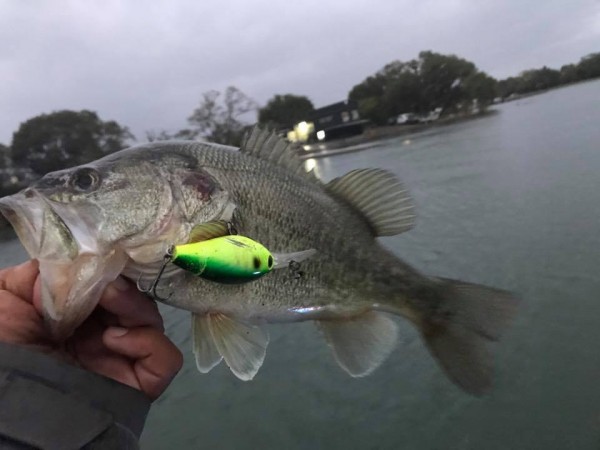 hideup 永野総一朗 ブログ写真 2017/11/11