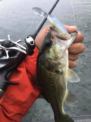 hideup 永野総一朗 ブログ写真 2017/10/19