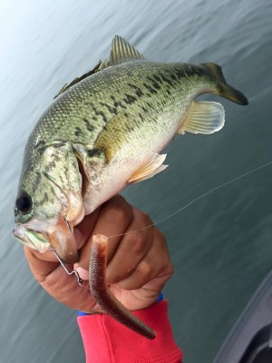 hideup 永野総一朗 ブログ写真 2016/06/22