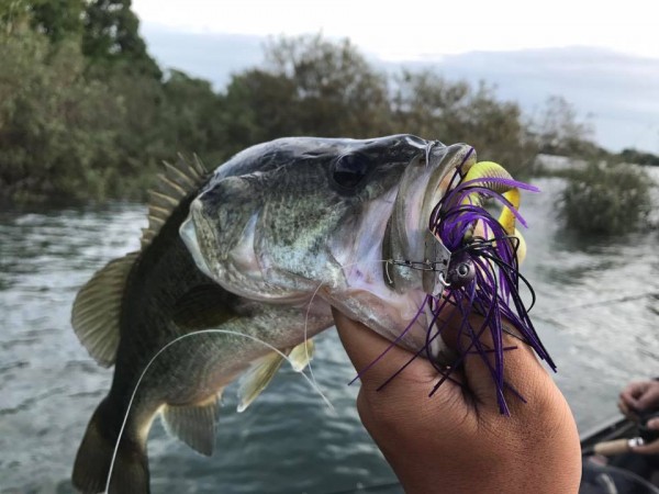 hideup 永野総一朗 ブログ写真 2017/10/24