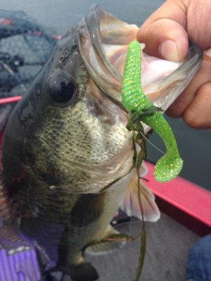 hideup 永野総一朗 ブログ写真 2015/05/24