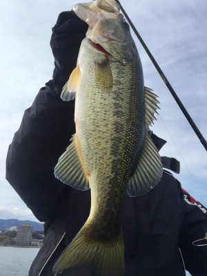 hideup 永野総一朗 ブログ写真 2017/03/26