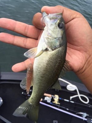 hideup 永野総一朗 ブログ写真 2016/09/13