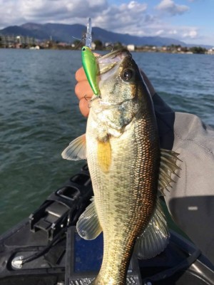 hideup 永野総一朗 ブログ写真 2017/11/16