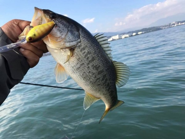 hideup 永野総一朗 ブログ写真 2017/11/03