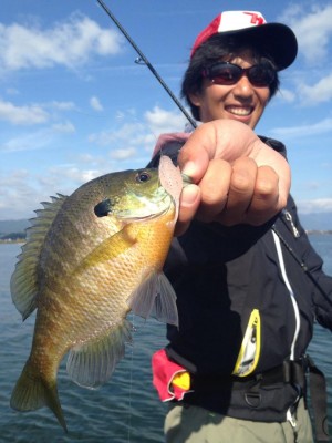 hideup 永野総一朗 ブログ写真 2014/11/11