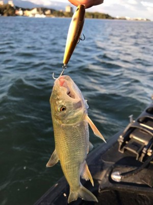 hideup 豌ｸ驥守ｷ丈ｸ譛� 繝悶Ο繧ｰ蜀咏悄 2017/11/16