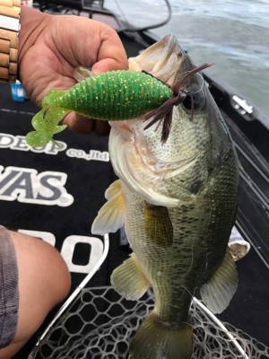 hideup 永野総一朗 ブログ写真 2017/08/12