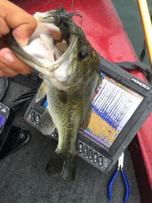 hideup 永野総一朗 ブログ写真 2015/08/20