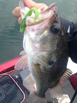 hideup 永野総一朗 ブログ写真 2014/11/05