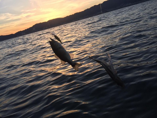 hideup 永野総一朗 ブログ写真 2016/12/25