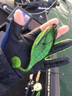 hideup 豌ｸ驥守ｷ丈ｸ譛� 繝悶Ο繧ｰ蜀咏悄 2016/02/14